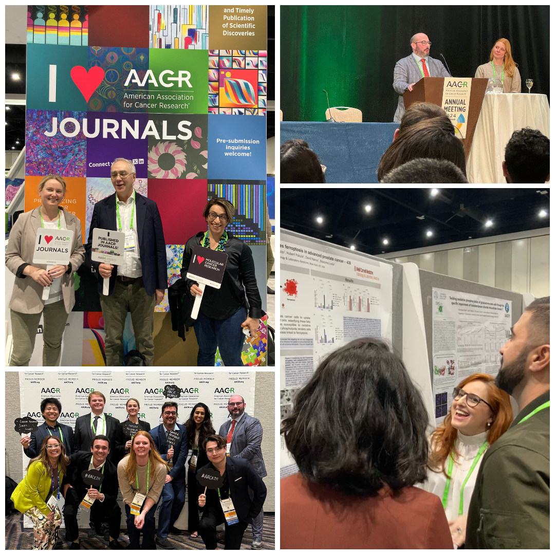 collage photo showing different researchers at a scientific conference