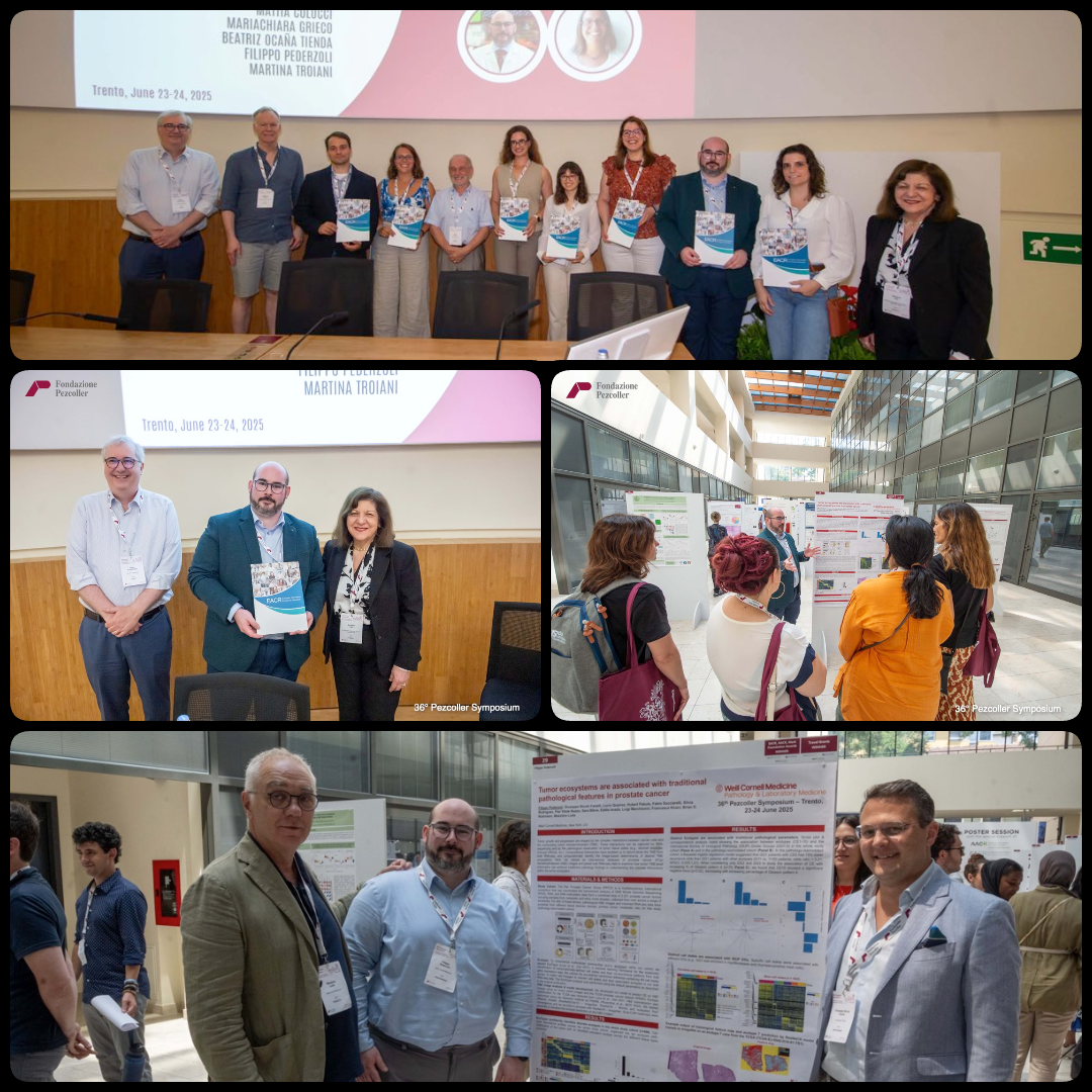 Photo collage of researchers at a scientific conference