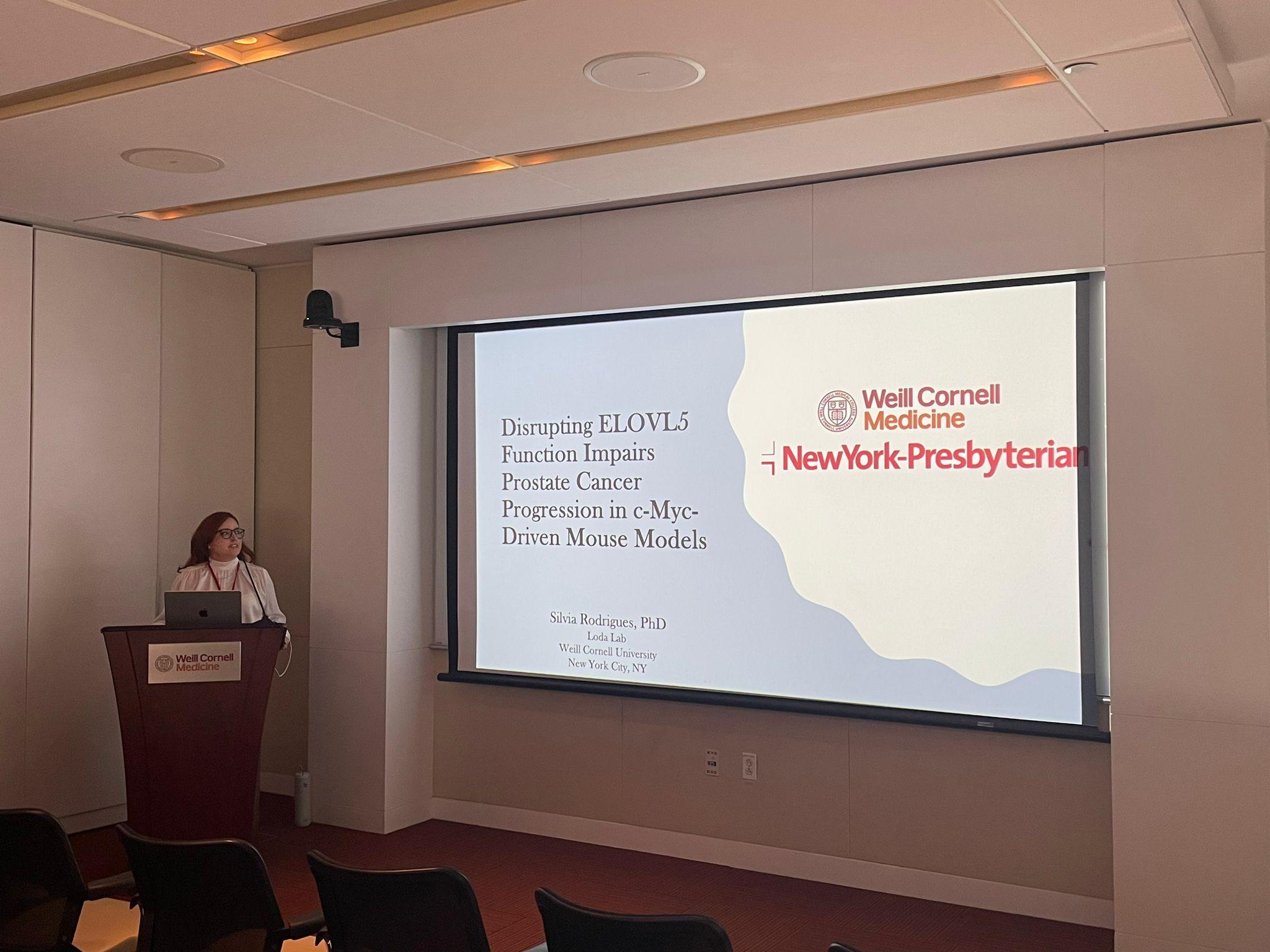 A researcher standing at the lectern presenting slides projected on the wall