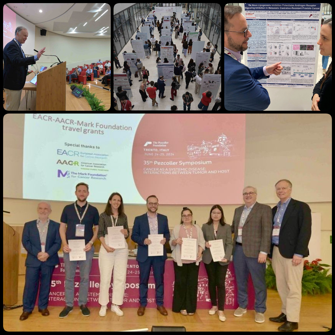 Collage of pictures showing different moments of researchers at a scientific conference