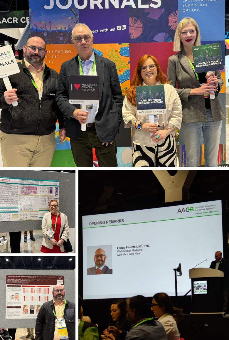 Different moments of researchers engaged at a scientific conference